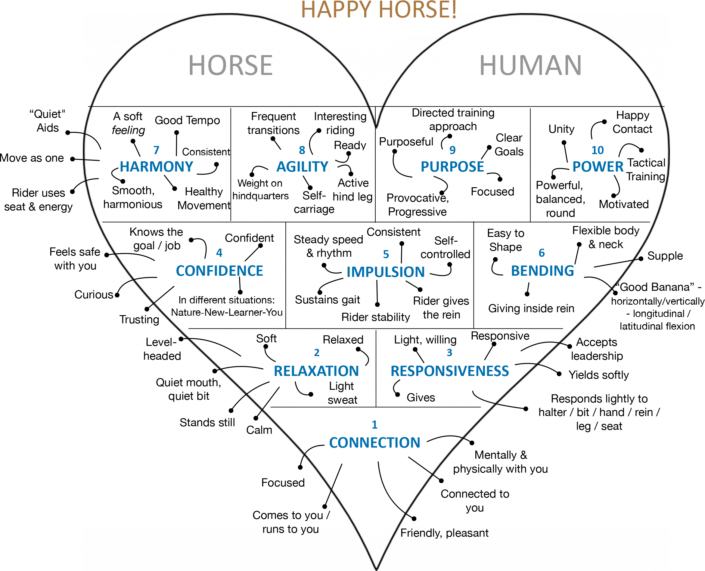 hhc-happyhorse
