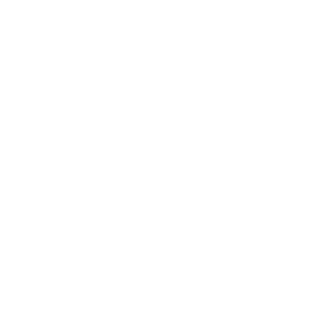 lightbulbicon